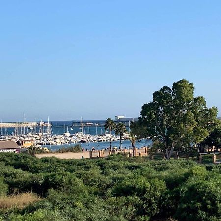Sea View Torrevieja Daire Dış mekan fotoğraf